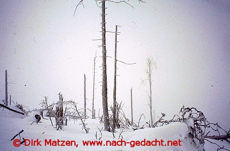 Harz, Auf dem Acker, 1987