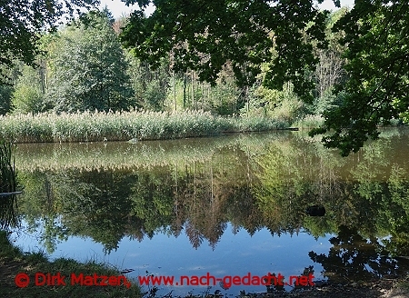 Ilsenburg, Roseckenteich