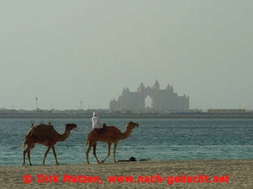 Dubai, Dromedare und Atlantis the Palm