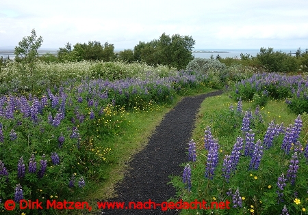 Reykjavik, Umgebung von Perlan