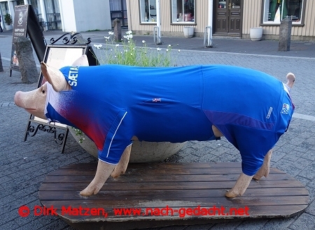 Reykjavik, Schwein in Fussballtrikot