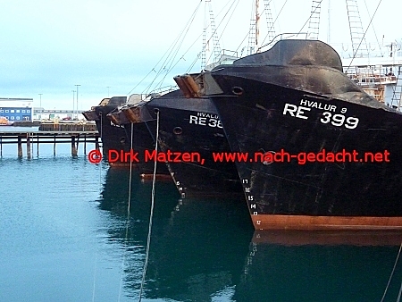 Reykjavik Walfangflotte