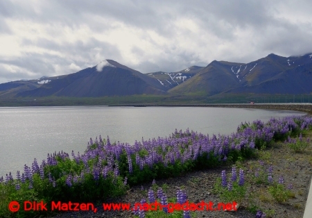 Snaefellsnes, Berge am Borgarfjöður