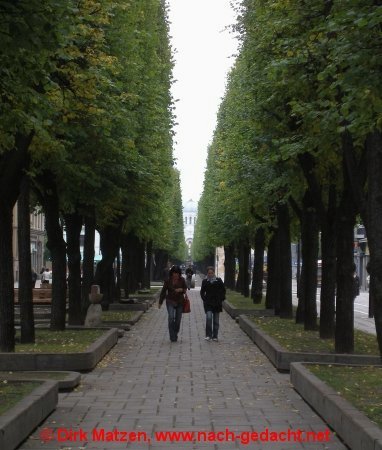 Kaunas, Lindenbume in der Fugngerzone