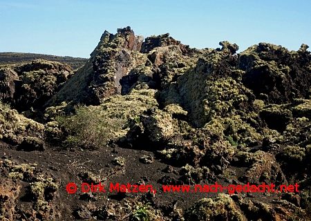 Lanzarote, Lavagestein