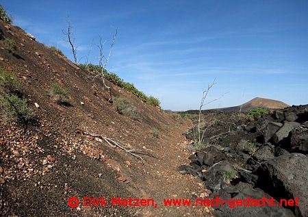 Lanzarote, Pfad am Lavafeld