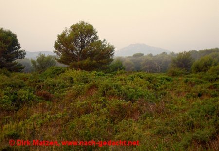 Menorca, Mola de Fornells - Wanderwege mit zartem Grn