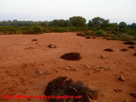 Menorca - roter Boden, grnes Grn