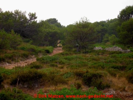 Menorca, Mola de Fornells - Grn