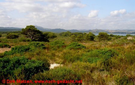 Menorca, Mola de Fornells - Beschauliche Natur