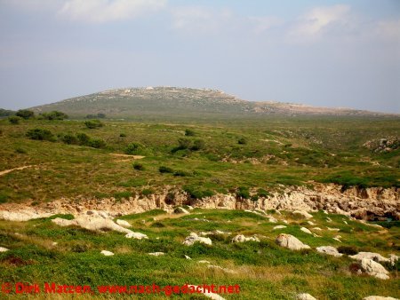Menorca, Mola de Fornells
