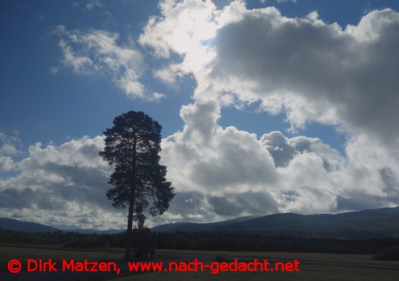 Zugfahrt Nordlandbahn, kurz vor Snåsa