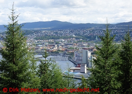 Trondheim, Blick zur Stadt