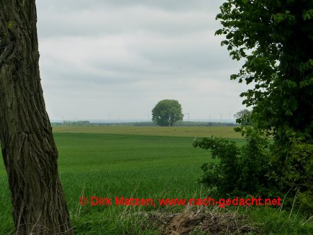 Auf dem Weg in den Oderbruch