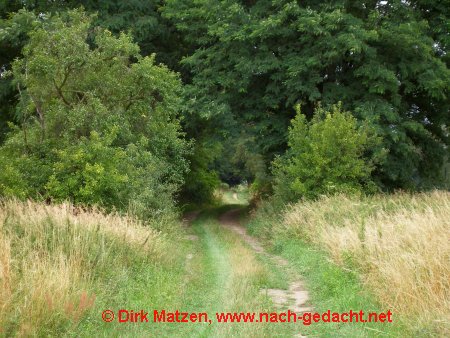 Wanderweg bei Garzau