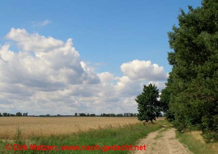 Landschaft der Mrkischen Schweiz