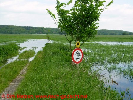 Versunkener Feldweg im Odervorland