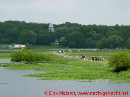 Oderhochwasser bei Gstebieser Loose