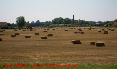 Strohernte im Oderbruch