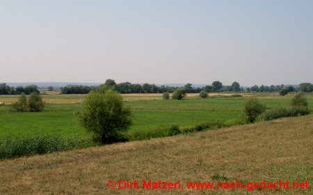 Landschaft bei Spitz