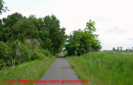 Radweg auf der früheren Bahnstrecke Wriezen - Bienenbüttel