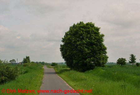 Radweg auf der alten Oderbruch-Bahnstrecke Wriezen - Bienenwerder