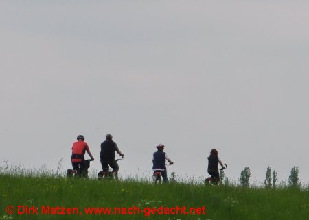 Radfahrer auf dem Oderdeich
