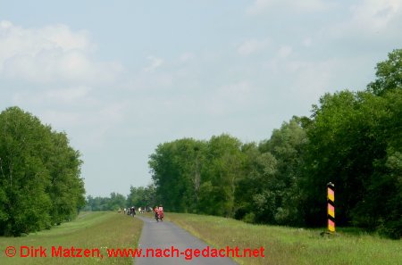 Radweg auf dem Oderdeich