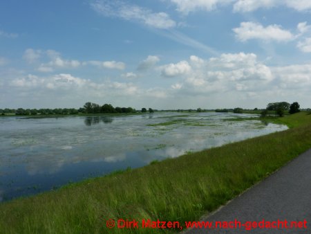 Oder-Hochwasser zu Pfingsten 2010
