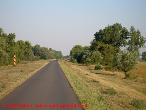Fahrradstrecke auf dem Oderdeich
