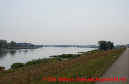 Radweg auf dem Oderdeich