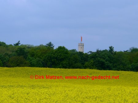 Turm des Schlosses Reichenow über Rapsfeld