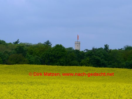 Turm des Schlosses Reichenow ber Rapsfeld