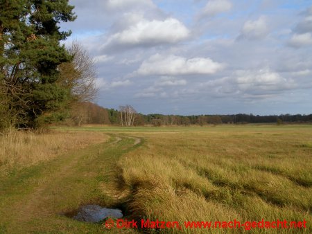 Landschaft am "Roten Luch"