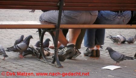 Warschau, Taubenfüttern auf Altstadtmarkt