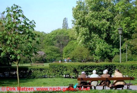 Warschau, Garten am Krasiński-Palast