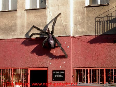 Warschau, Spinne an Gebäude in Praga