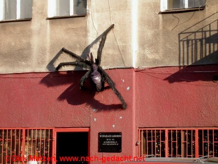 Warschau, Spinne an Gebude in Praga
