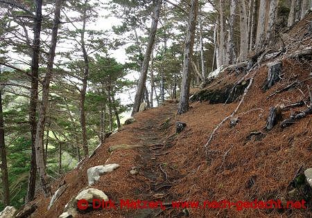 Porto Santo, Wanderweg auf den Pico Castelo