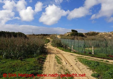 Porto Santo, Feldweg neben Flughafen