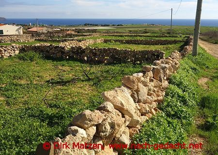 Porto Santo, Landwirtschaft-Parzellen