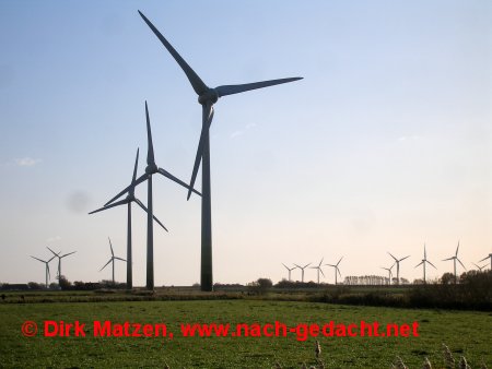 Wiedingharder Neuer Koog