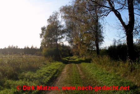 Grenzroute im Wald