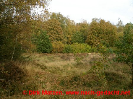 Frslev Plantage
