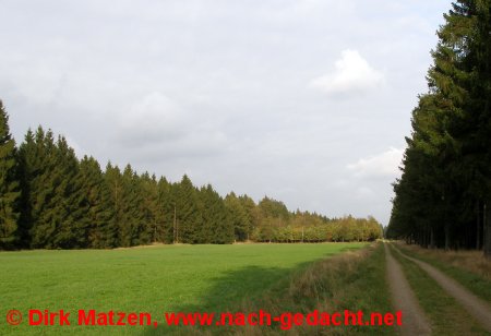 Radstrecke in der Frslev Plantage