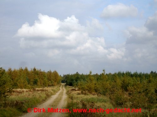 Frslev Plantage, Radweg