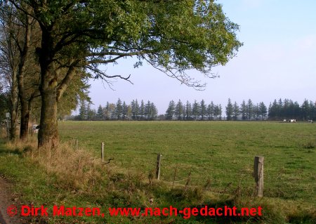 Radweg bei Neupepersmark