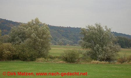 Elbtalaue bei Wendewisch