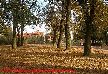 Ortszentrum von Neu Darchau