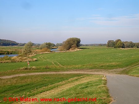 Elbe bei Pommau